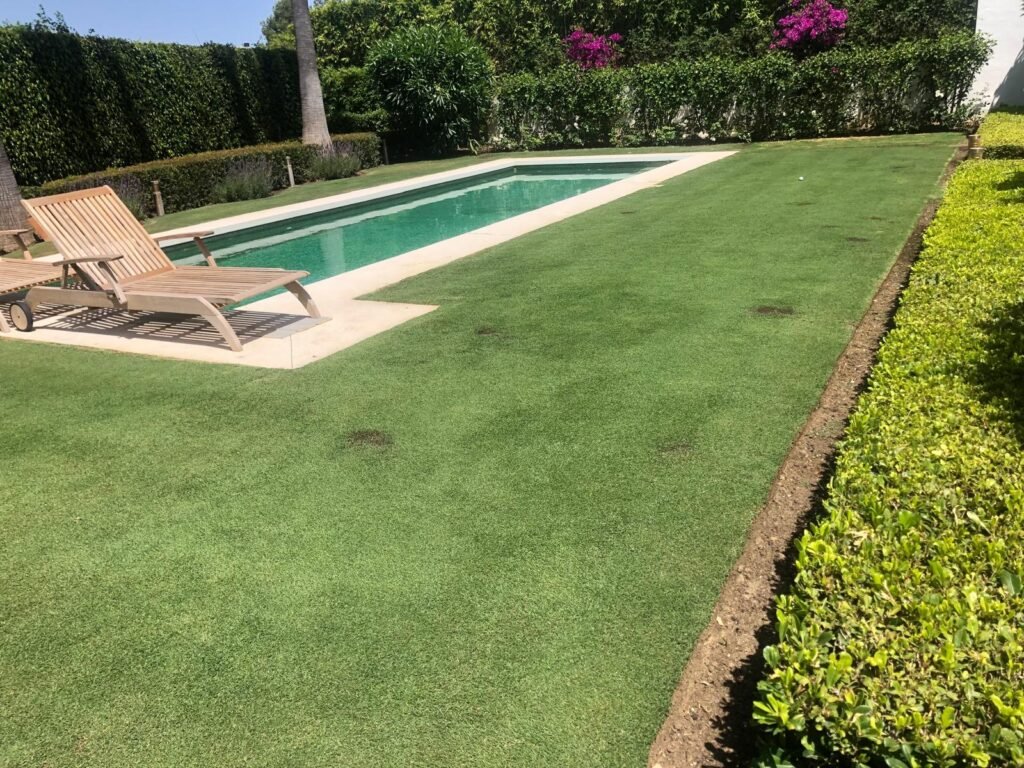 Jardín con césped bien cortado, bordeado por un seto. Al fondo hay una piscina rectangular y tumbonas de madera cerca de una vegetación frondosa y flores de color fucsia.