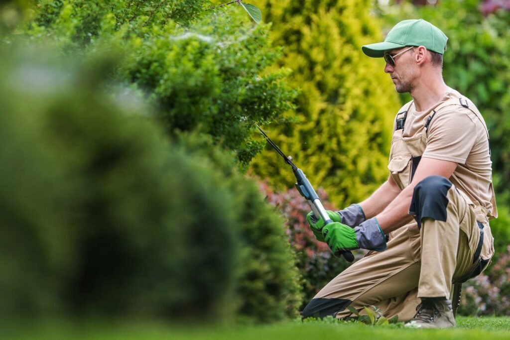 Jardinero de rodillas, usando guantes verdes y gafas de sol, cortando un arbusto con una podadora de mano. Viste una gorra verde y un mono de trabajo color beige.