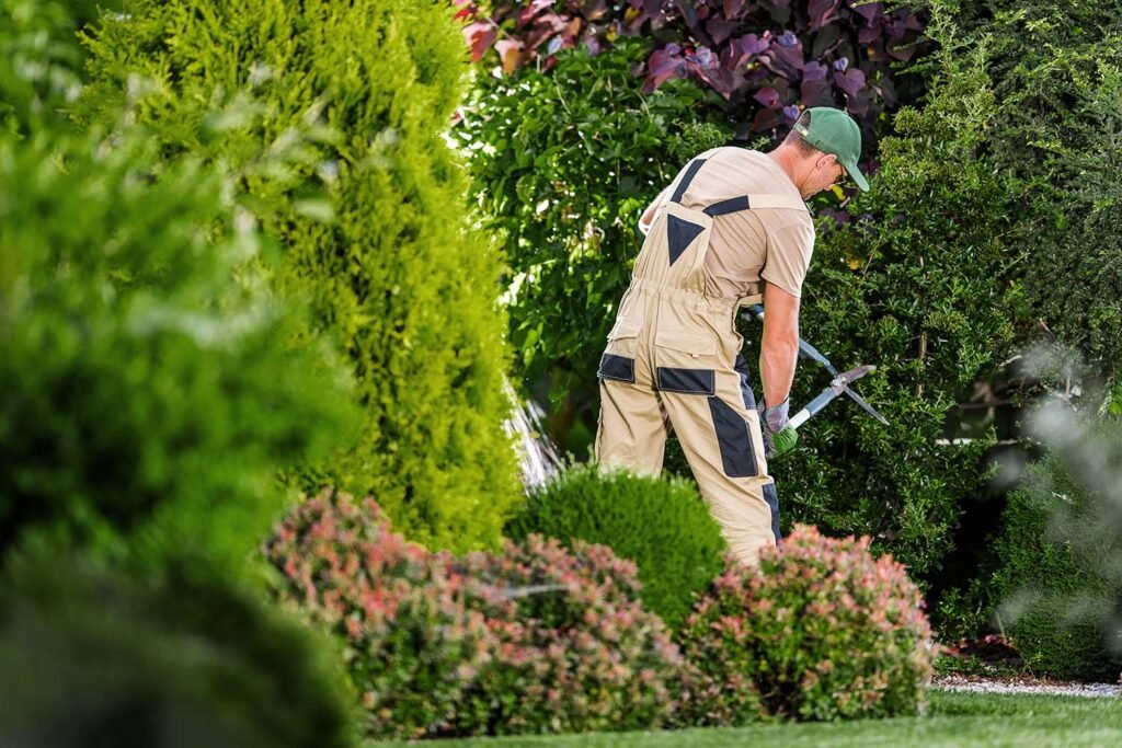 Jardinero de espaldas recortando un arbusto con unas tijeras de podar largas. Lleva un mono de trabajo beige con parches oscuros, guantes y una gorra verde. Está rodeado de diversos arbustos y plantas de jardín.
